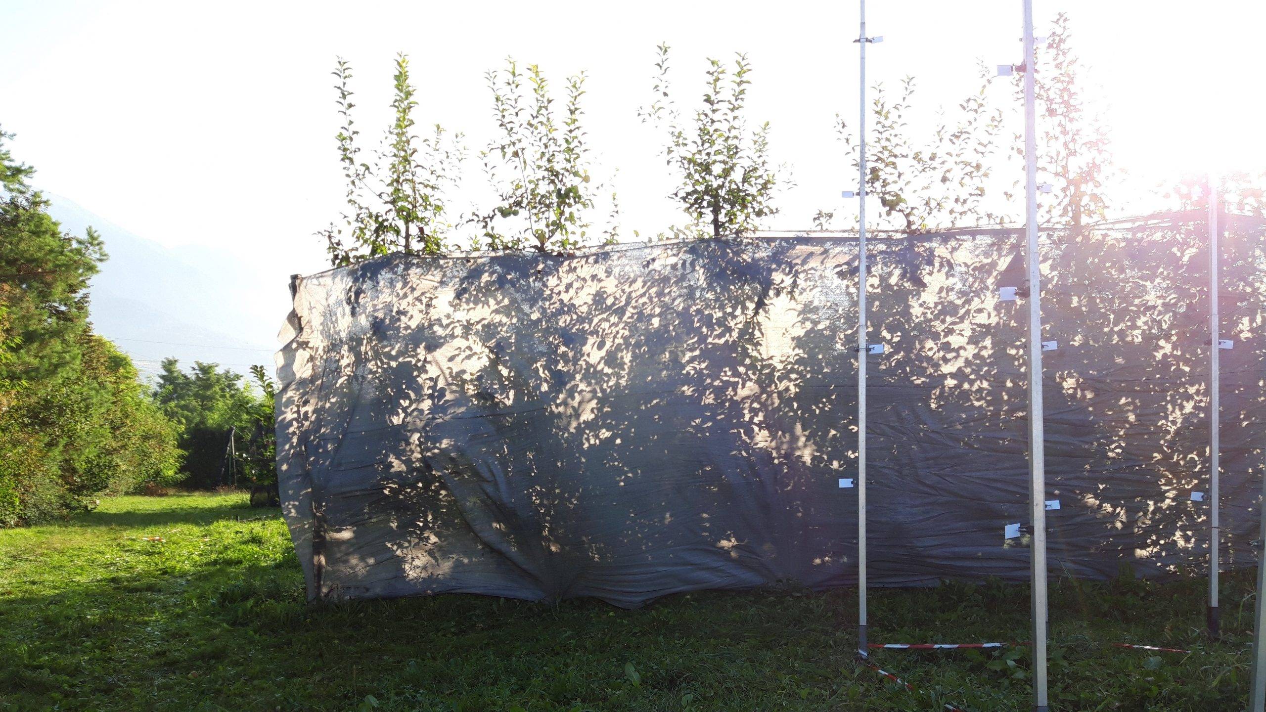 Malla Arrigoni anti deriva|Arrigoni_Anti Deriva Grey_cuad